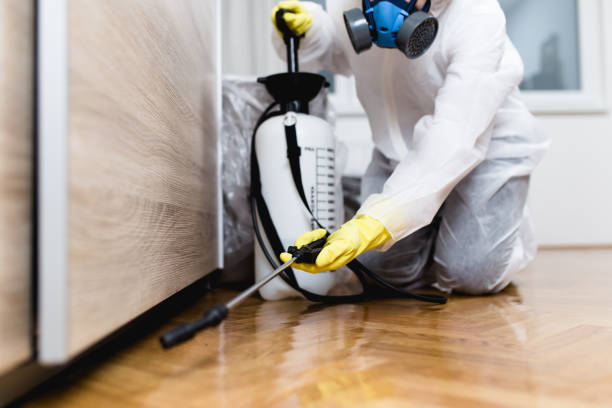 Best Best Pest Control Companies  in Newberg, OR