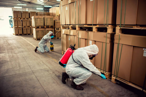 Best Best Pest Control Companies  in Newberg, OR