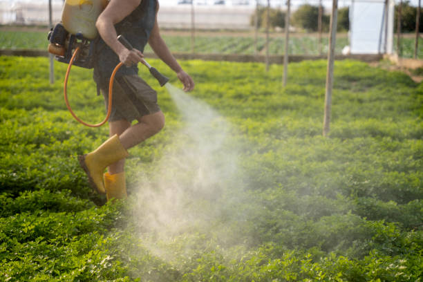 Best Affordable Pest Control Services  in Newberg, OR
