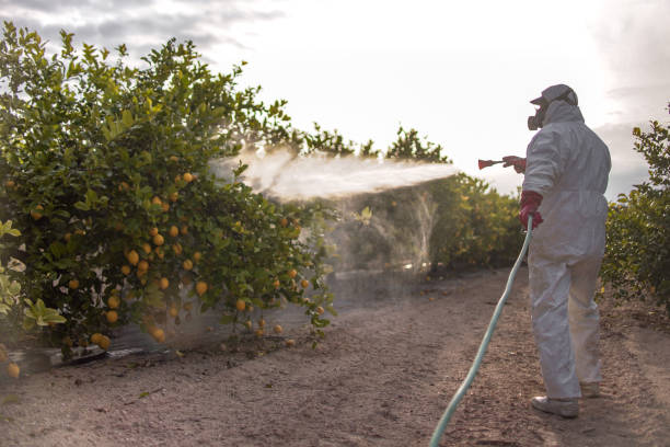 Best Wasp Removal Services  in Newberg, OR