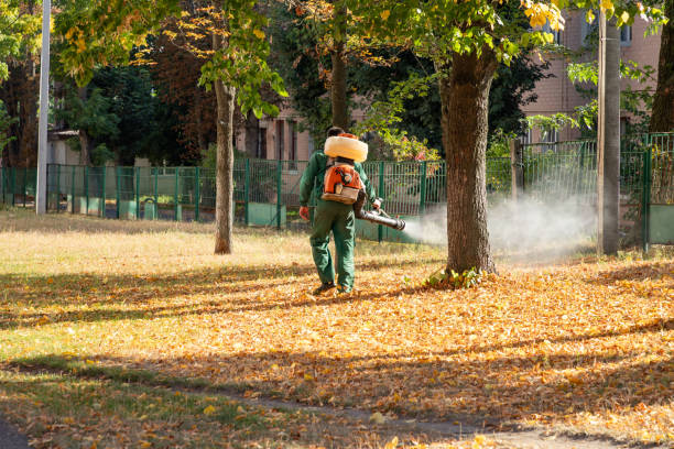 Best Mosquito Control Services  in Newberg, OR