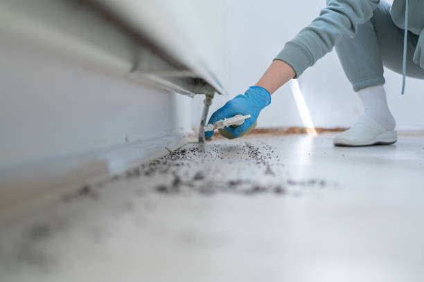 Best Residential Pest Control  in Newberg, OR